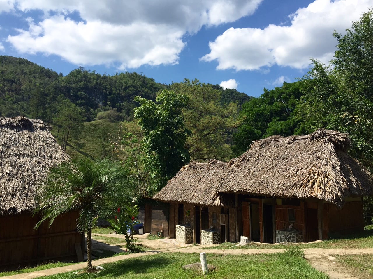 Two thatched roof cabins at El Retiro Lodge, set among the trees.