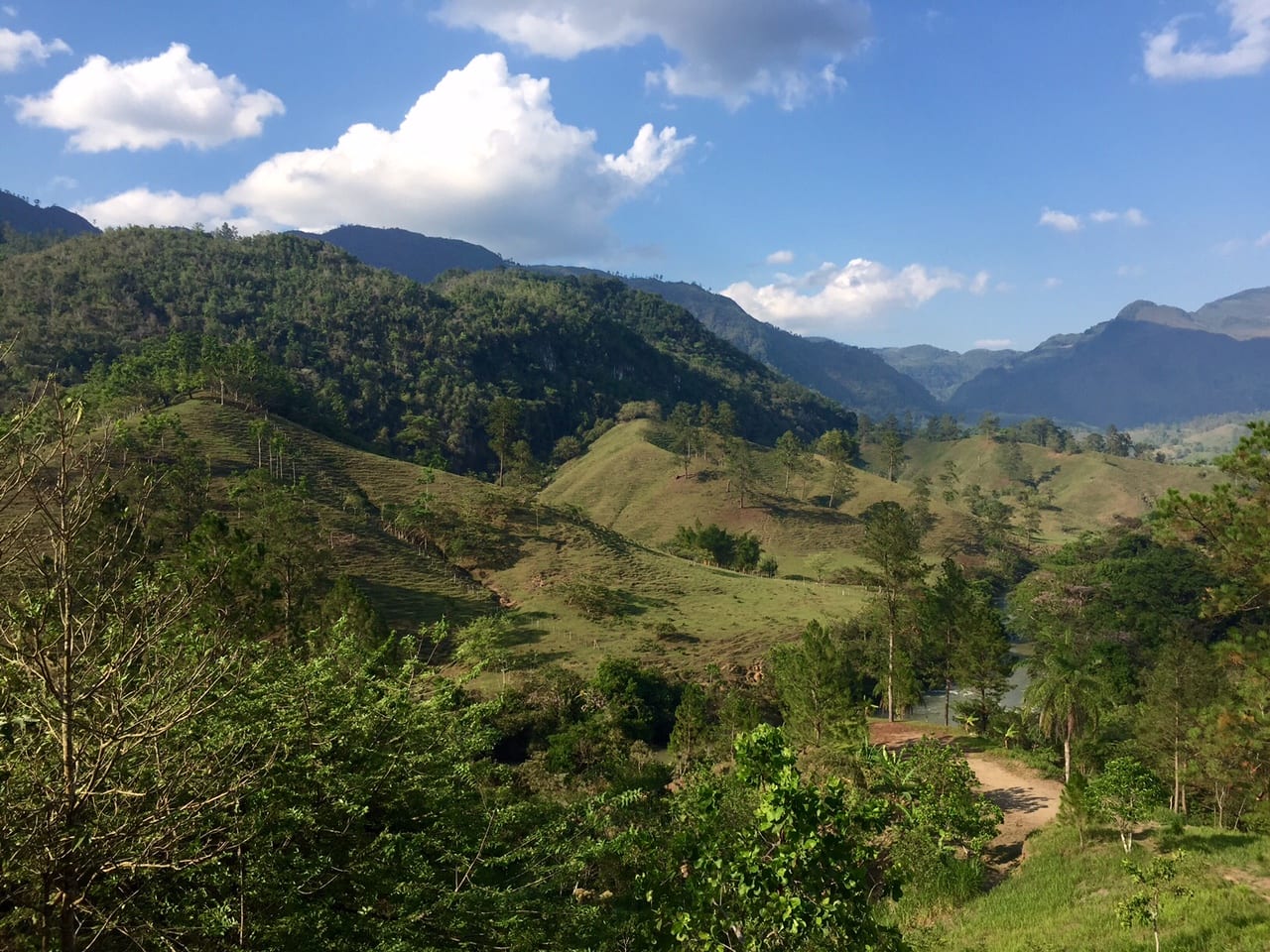 Bright green mountains covered with trees underneath a blue sky.