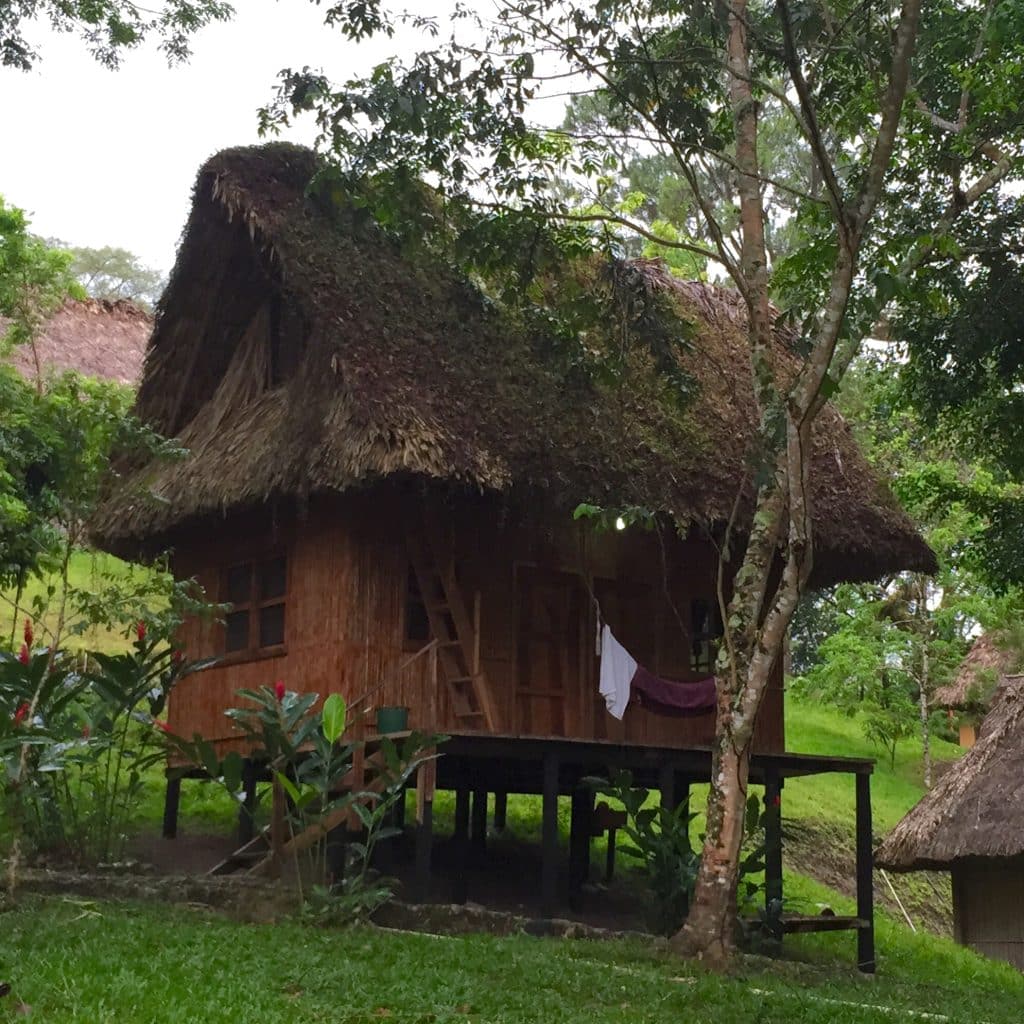 A small thatched cabin perched on stilts above a grassy hill.