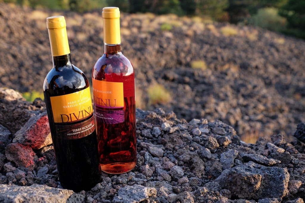 Two wine bottles in the setting sun on a rocky hill on Mount Etna.