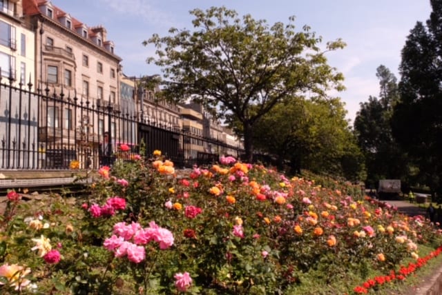 Princes Street Gardens, Edinburgh