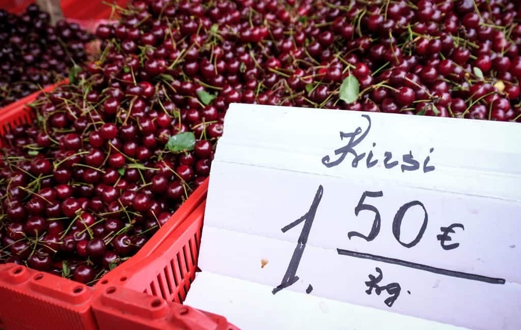 Crates full of dark red cherries in Riga. A sign says that they cost 1.50 euros per kilogram.