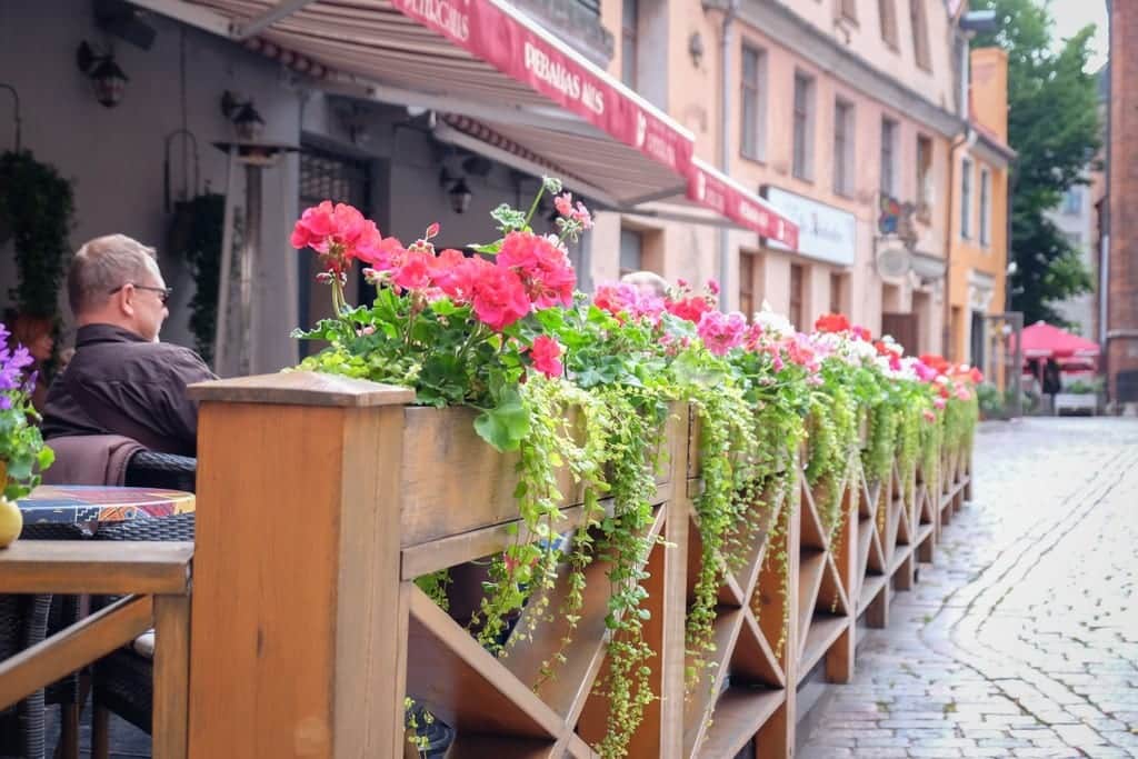 A street side cafe in Riga. The wooden barrier from the street is topped with pink flowers with flowing green leaves.