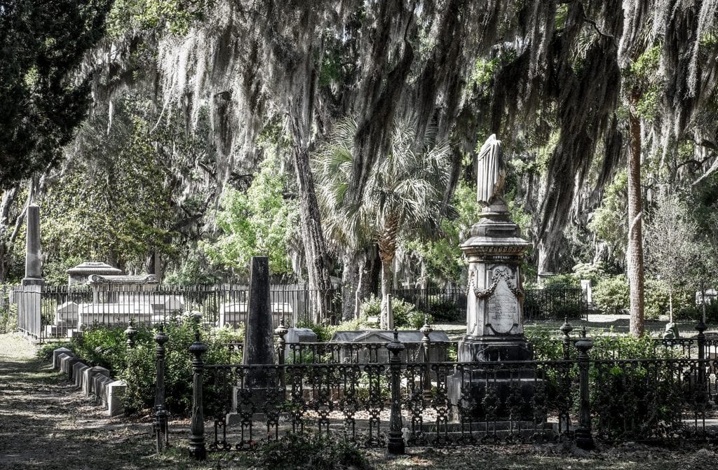A very spooky looking cemetery with trees dripping with Spanish moss.