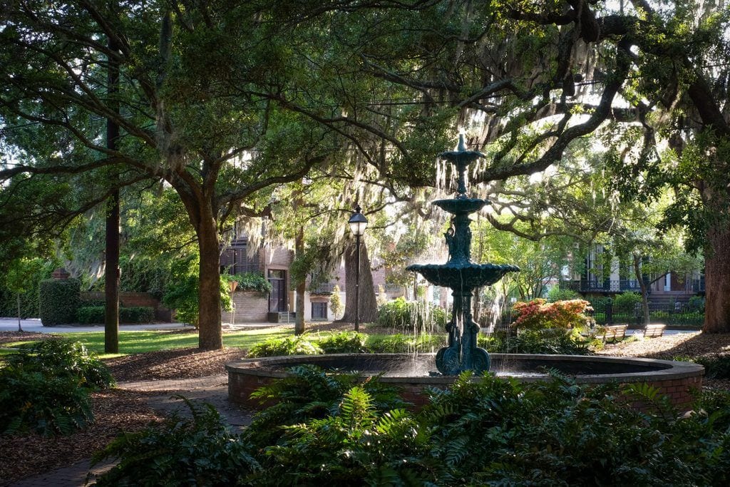 A square in Savannah with a forest green fountain in the middle, surrounded by oak trees dripping Spanish moss.