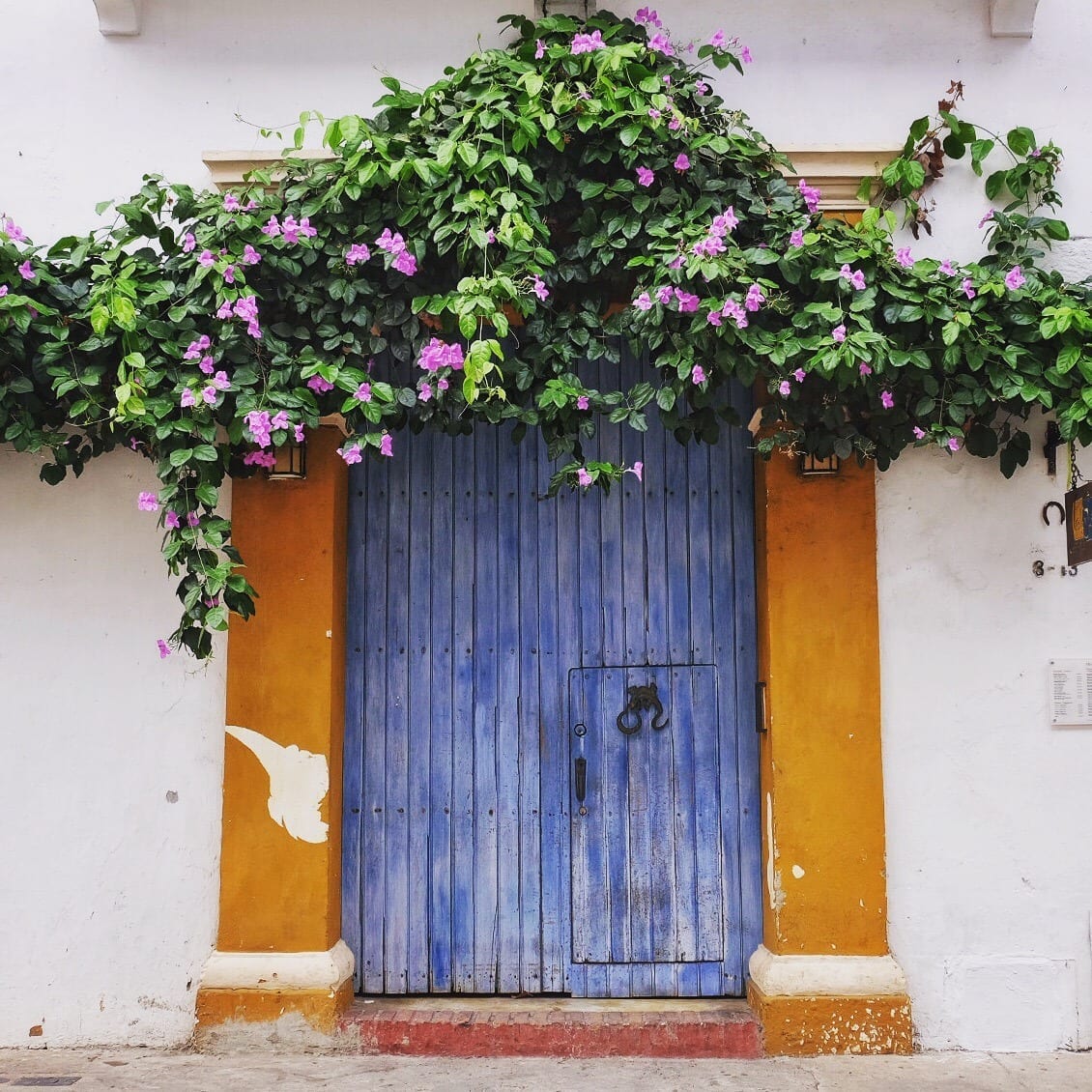 Cartagena Door