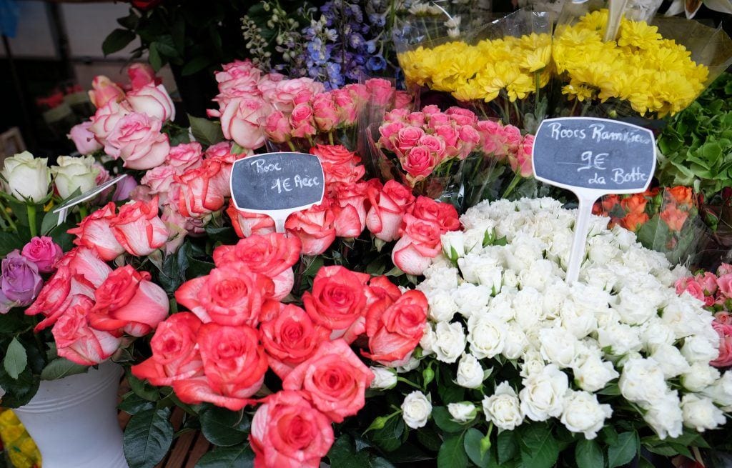 Pink and white roses for sale at a flower shop