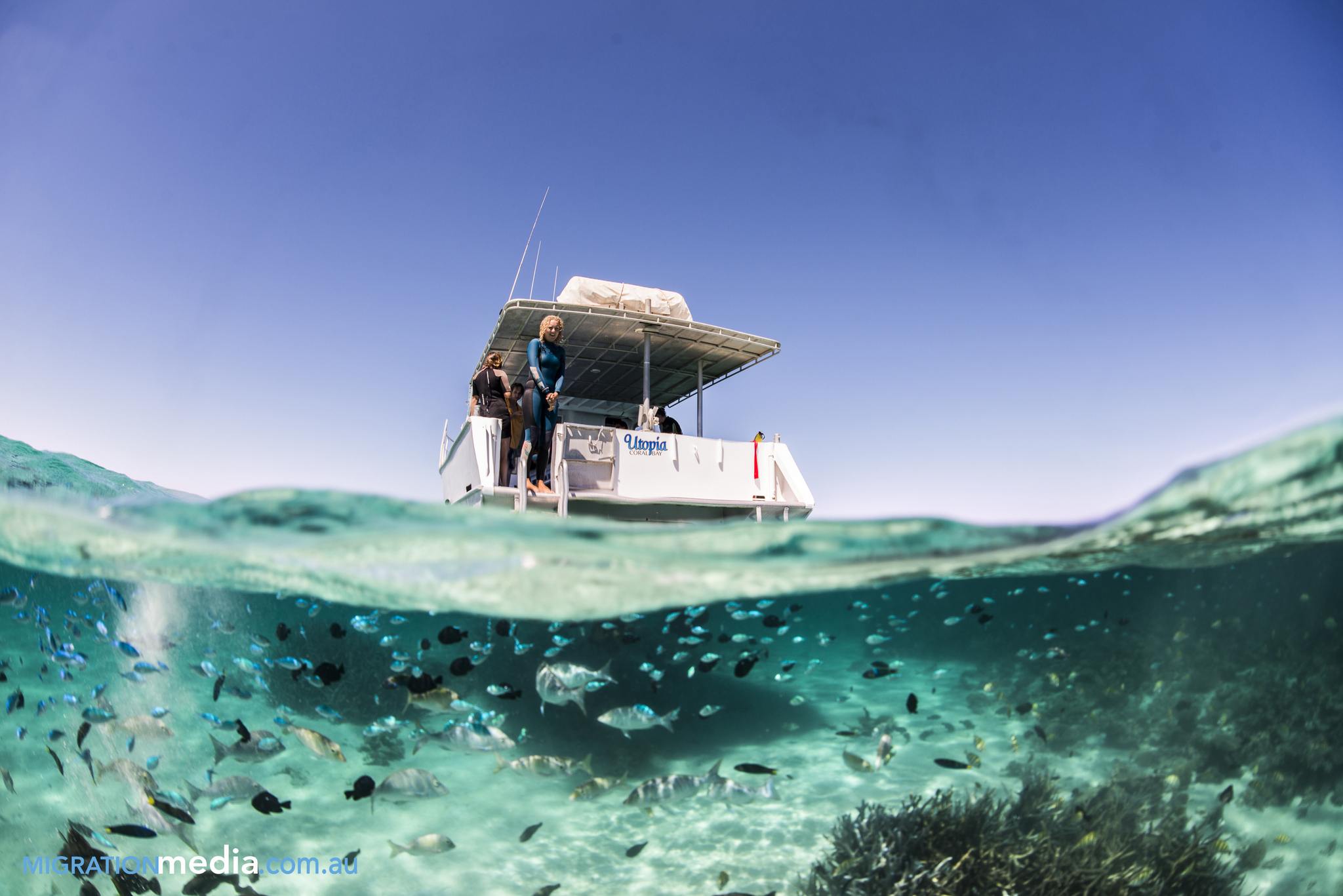 Ningaloo Fish
