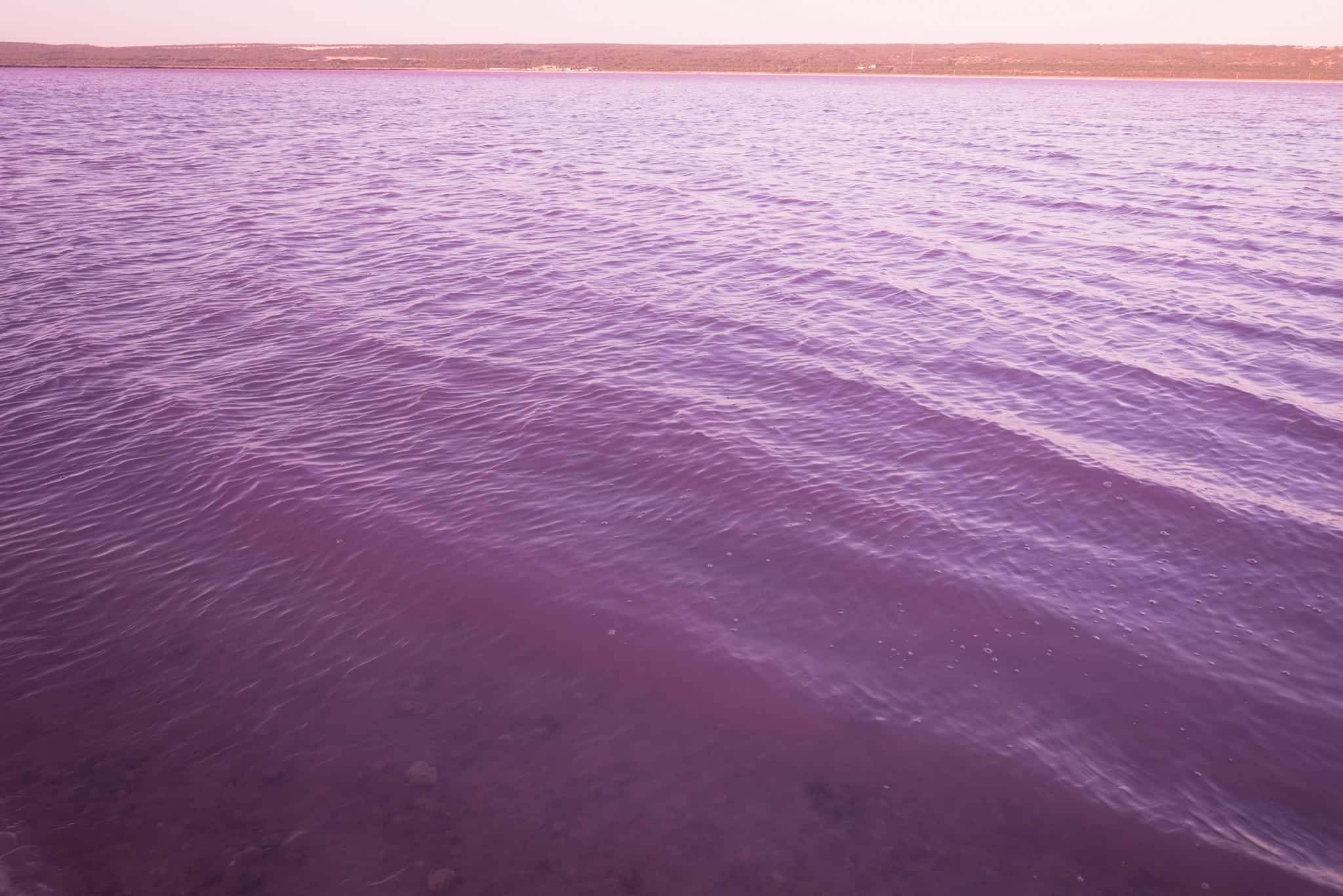 Hutt Lagoon Pink Lake, Western Australia