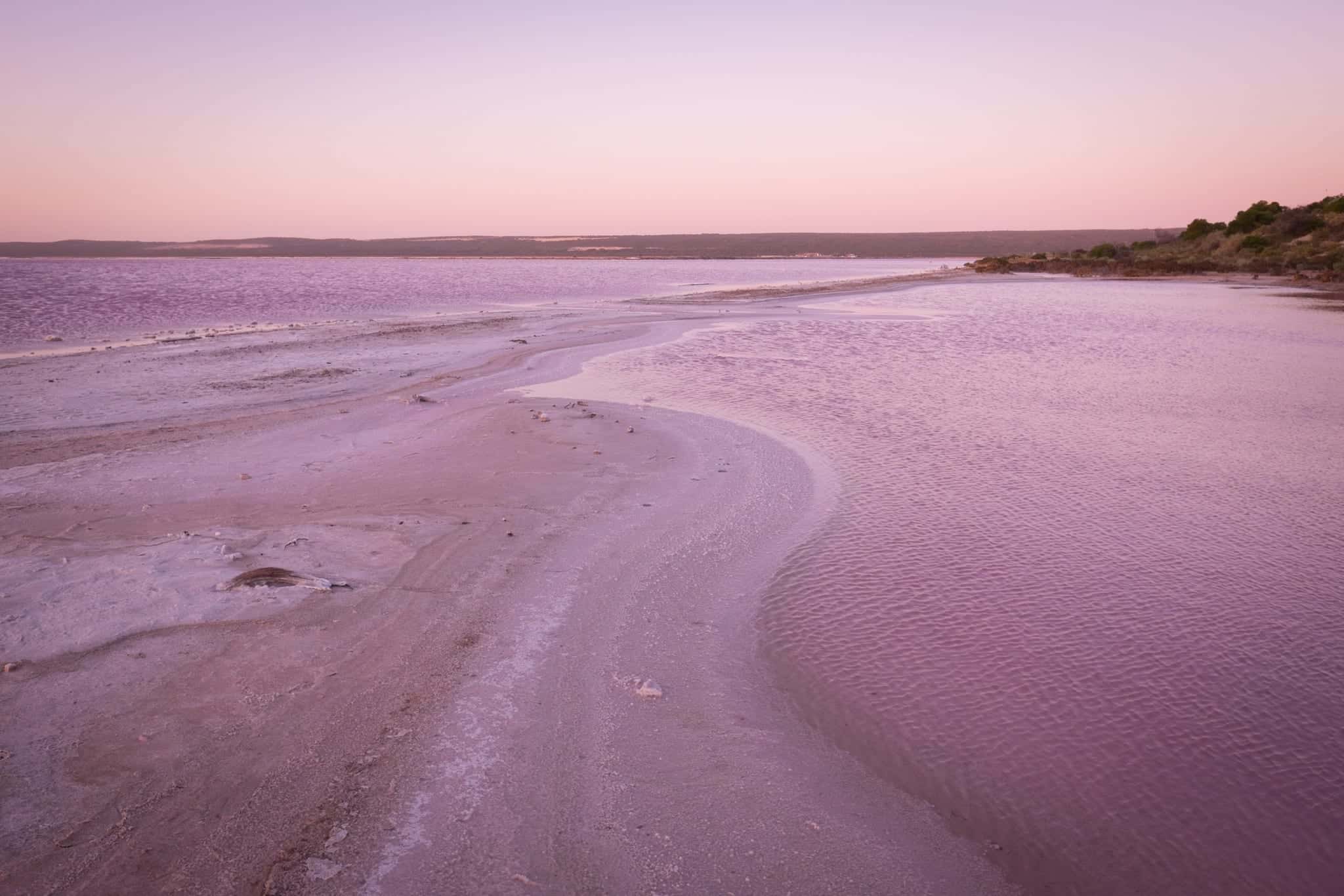 Hutt Lagoon Pink Lake, Western Australia