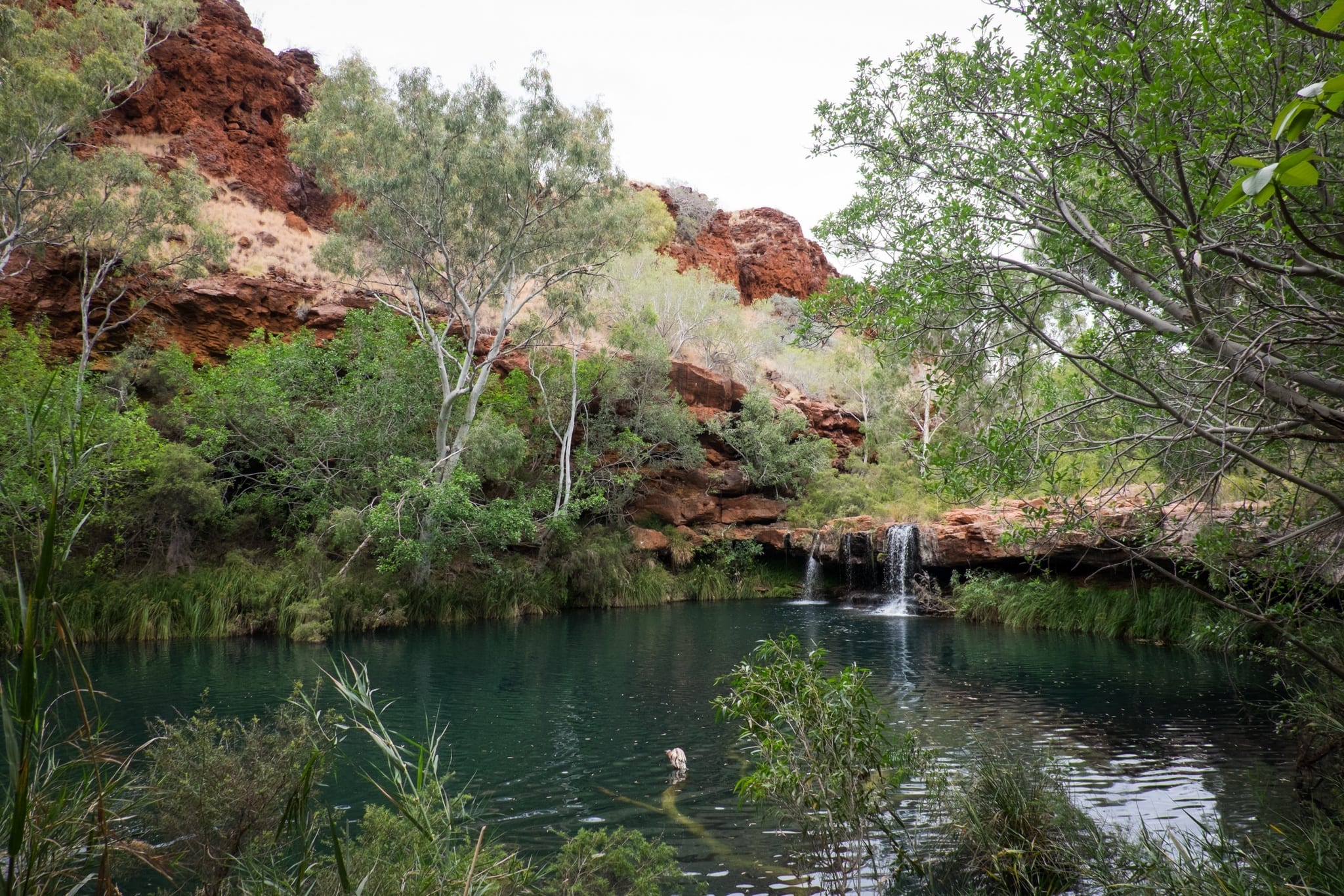 Karijini NP