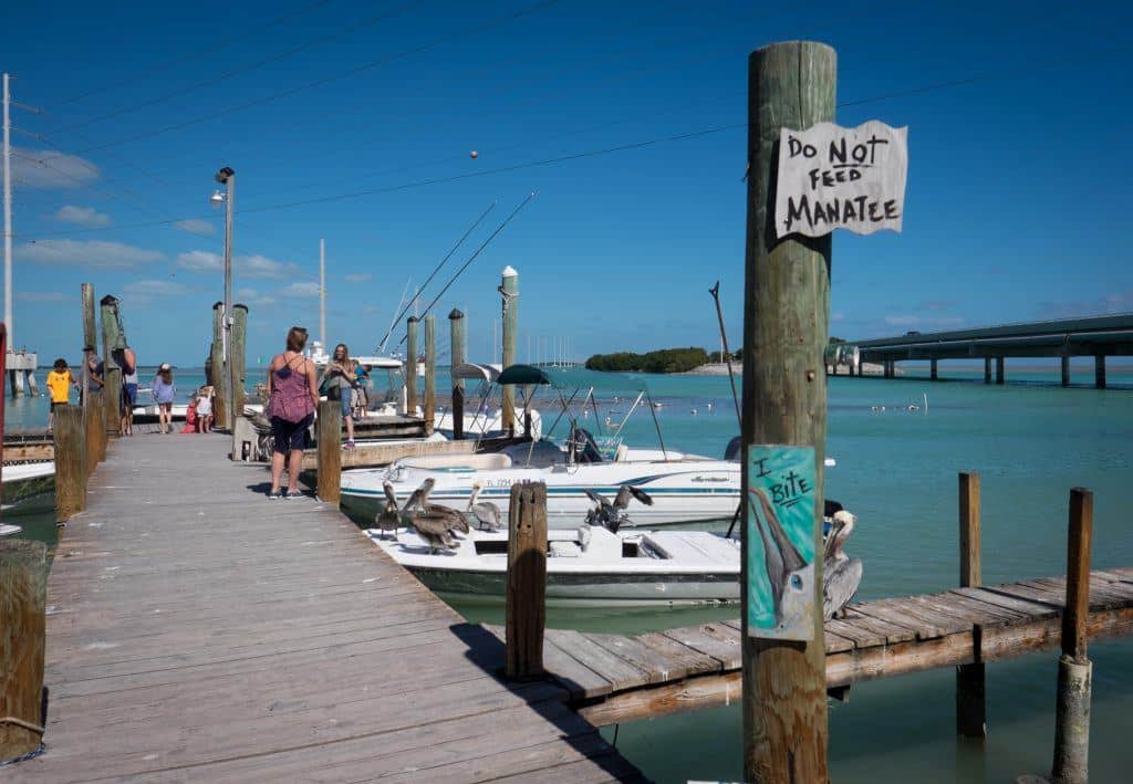 People walking out on a dock in Florida, where a sign reads "Do not feed manatee"