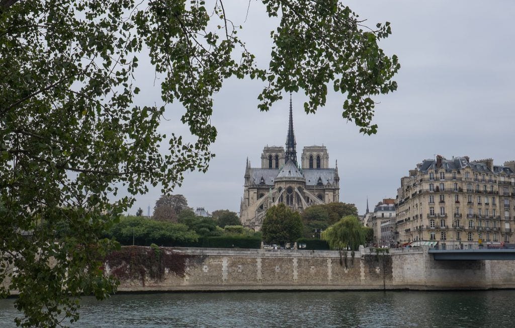 The pointy back end of Notre-Dame Cathedral framed by tree branches.