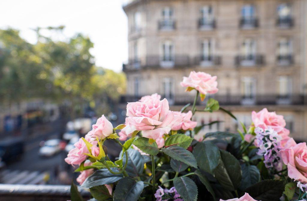 Pink flowers in front of gray buildings in Paris