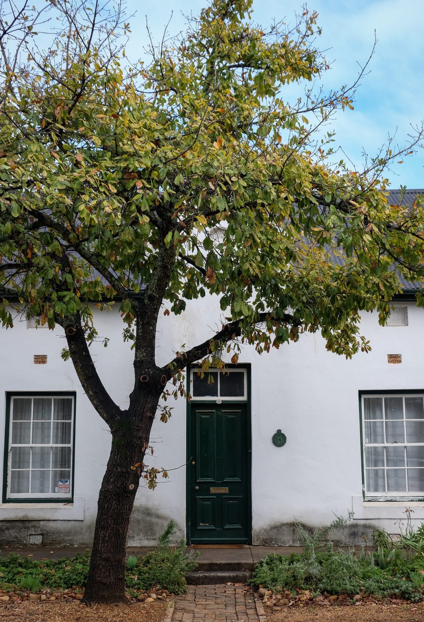 stellenbosch university tourism