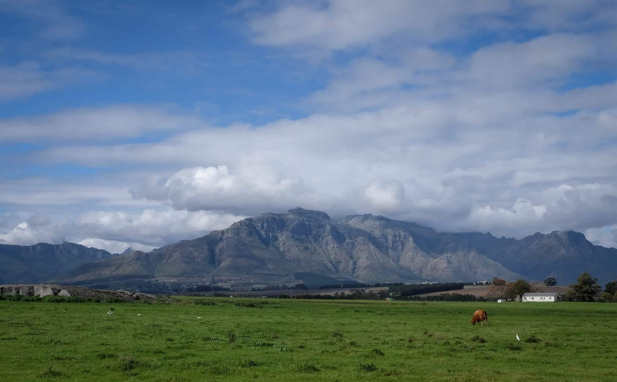 travel from cape town to stellenbosch