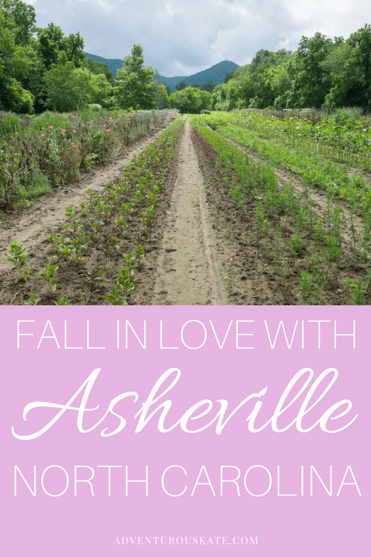 asheville travel blog