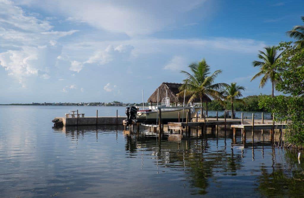 A wooden dock perched near lots of palm trees in Key Largo, Florida.