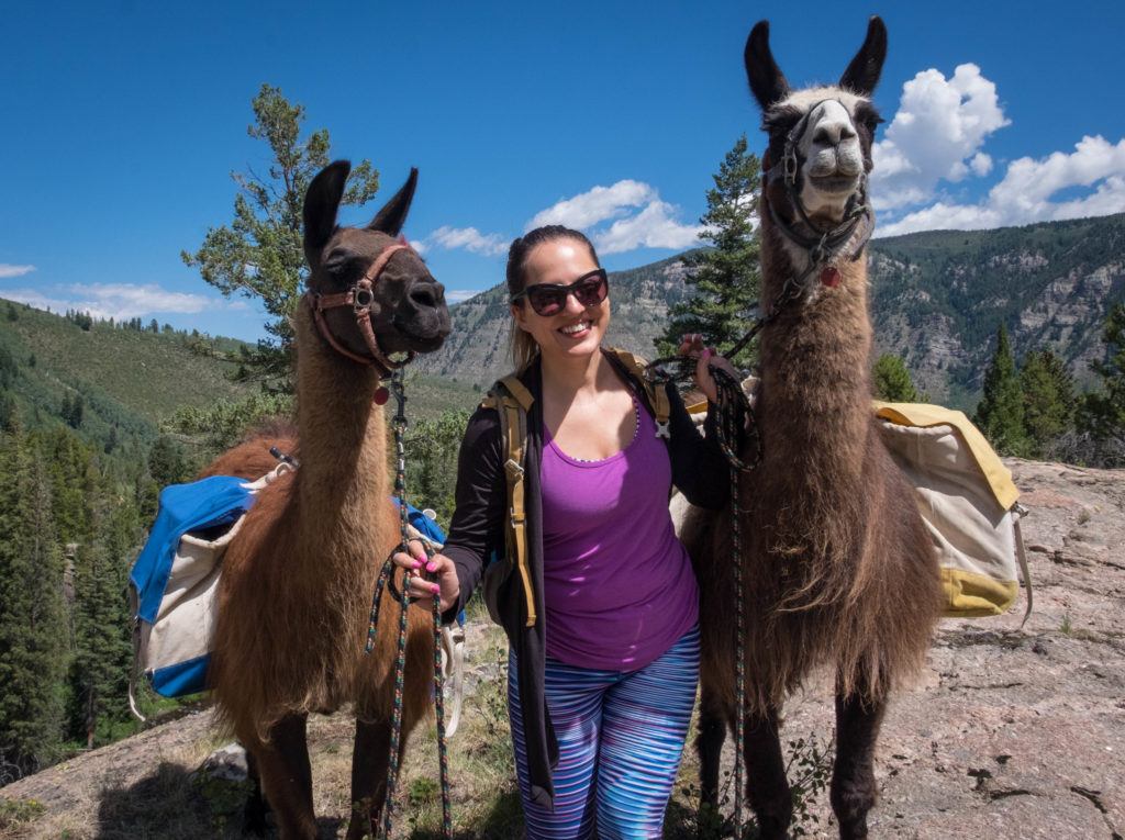 Kate smiling on top of a green mountain, a brown llama on either side of her.