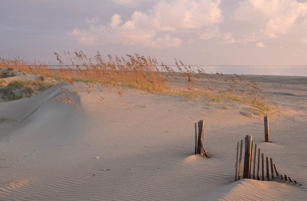 Sand dunes topped with amber grasses and the ocean in the background under a lavender sky at sunrise on Tybee Island, Georgia.