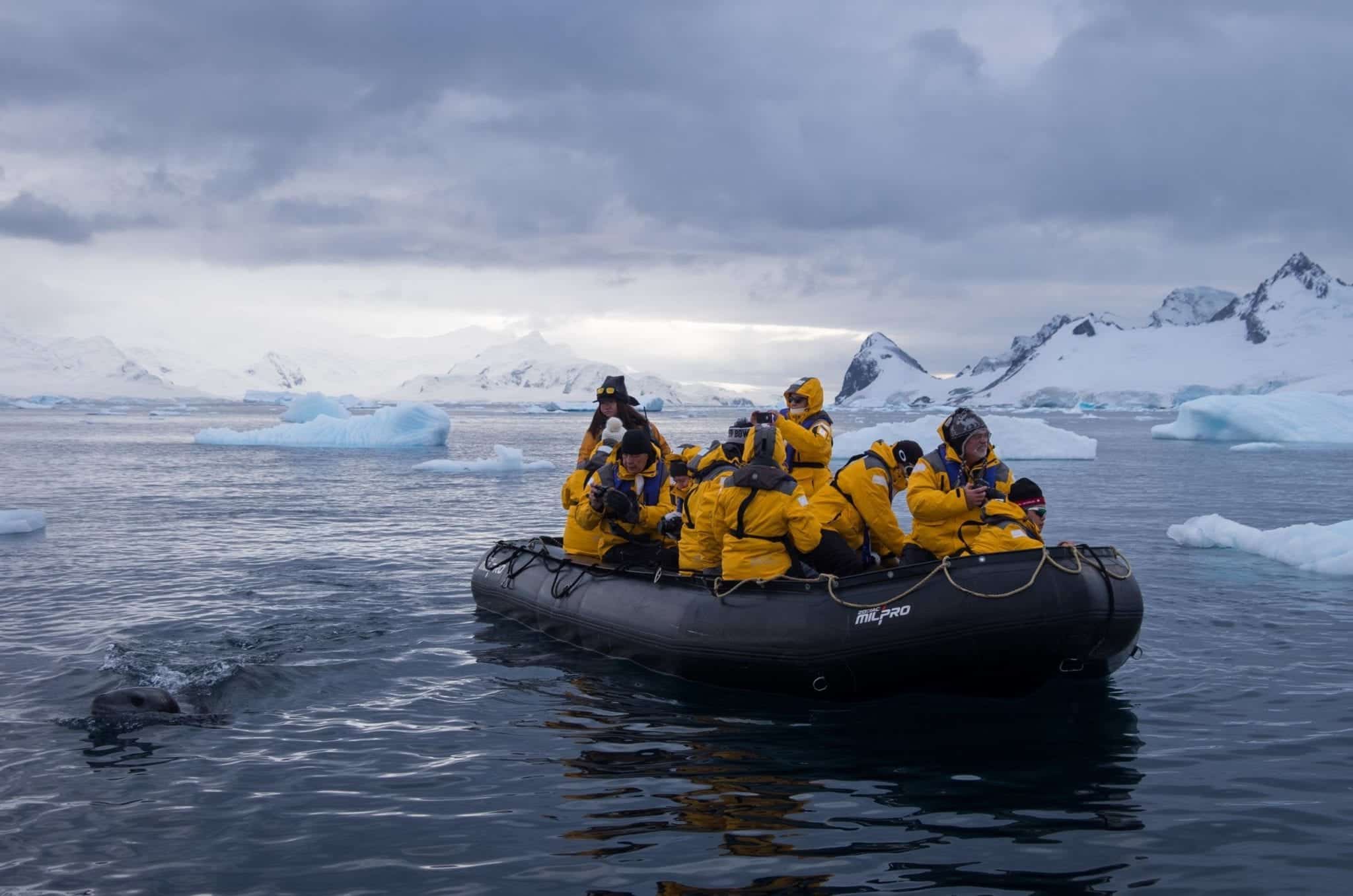 antarctica travel writing