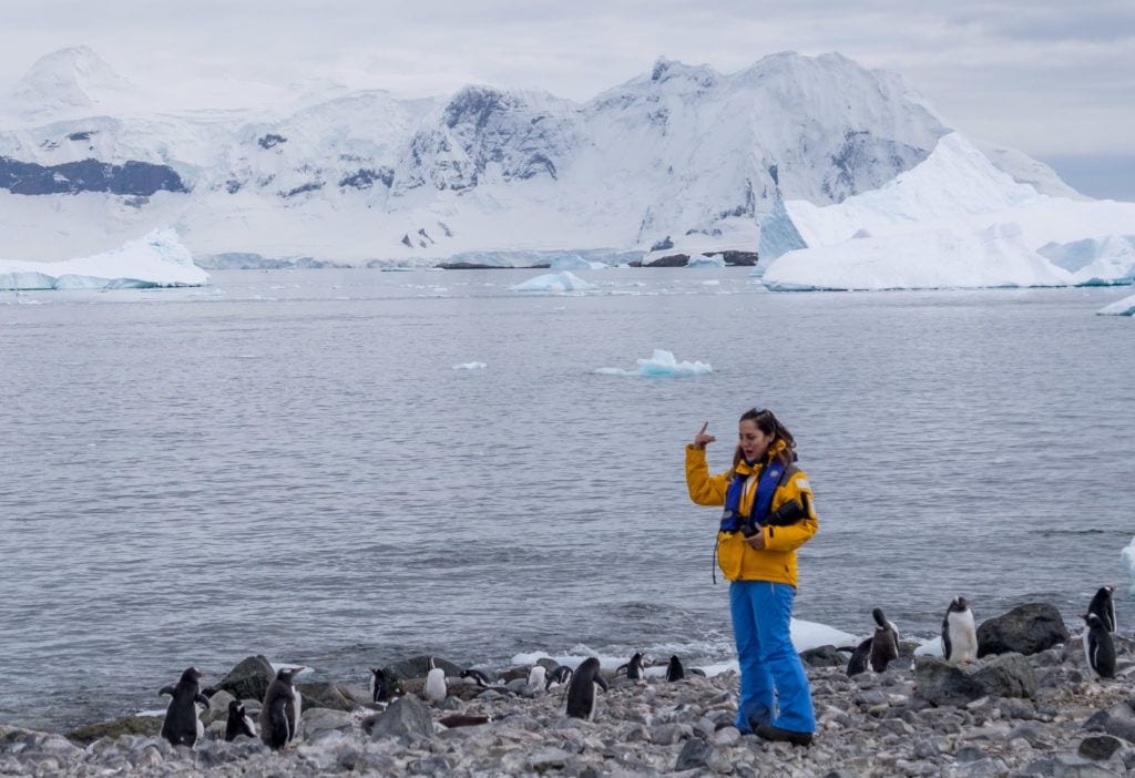 Kate talks to a group of penguins in Antarctica.