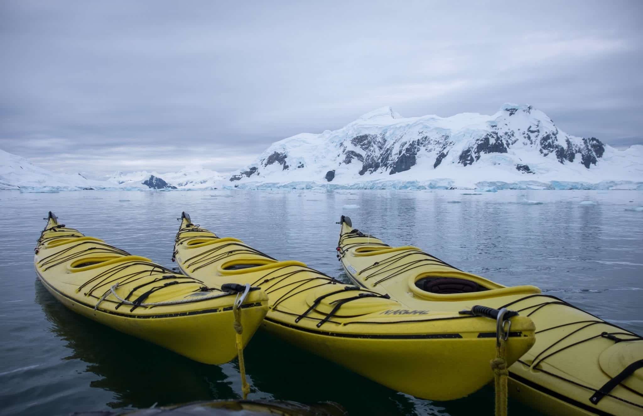 antarctica travel writing