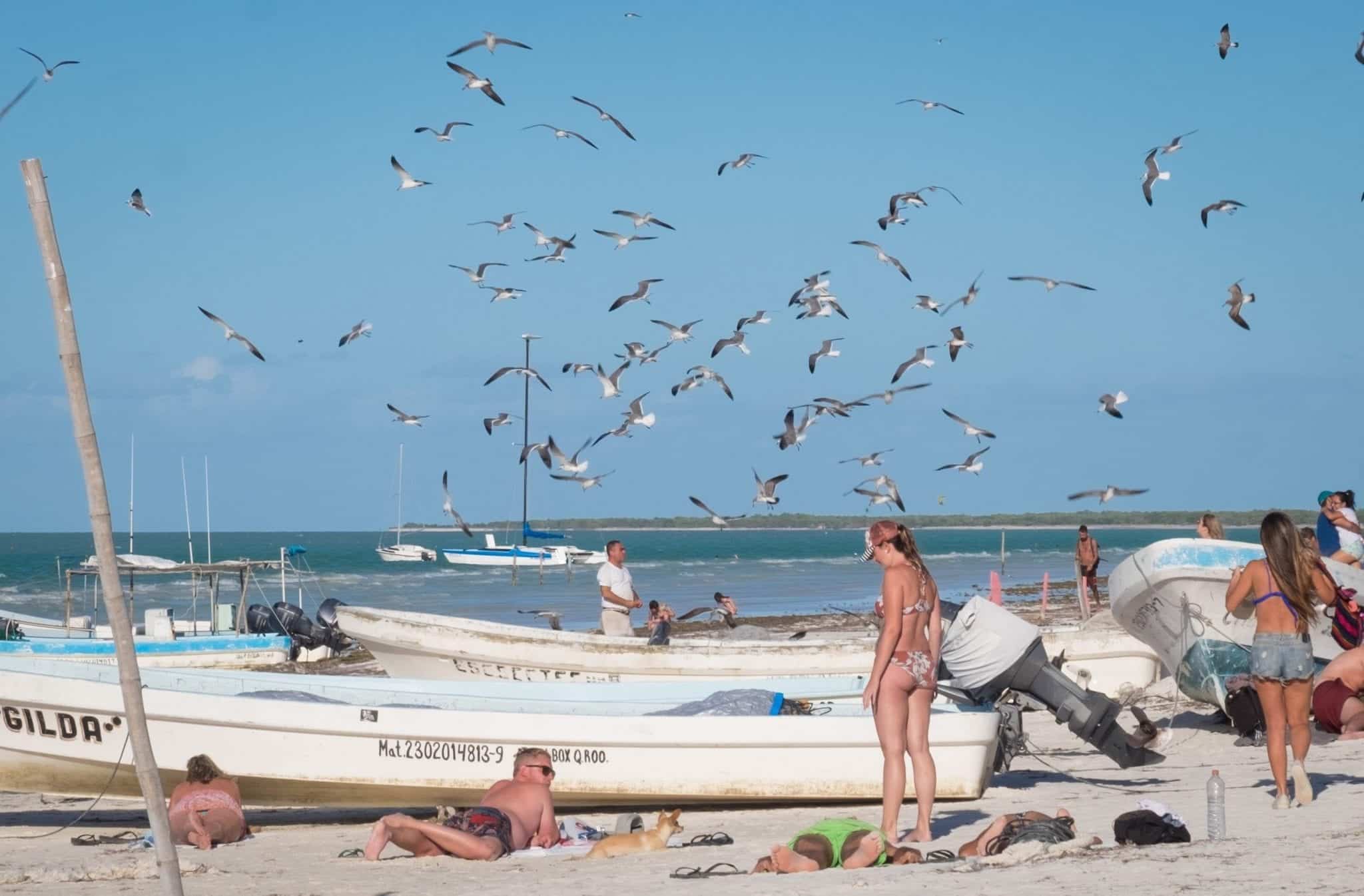 Several people and boats on a beach with lots of birds flying above.