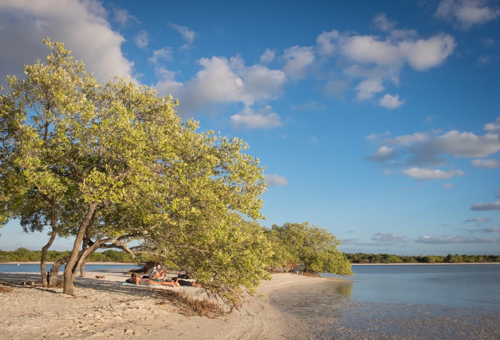 Serene beach with trees and a few people on blankets.