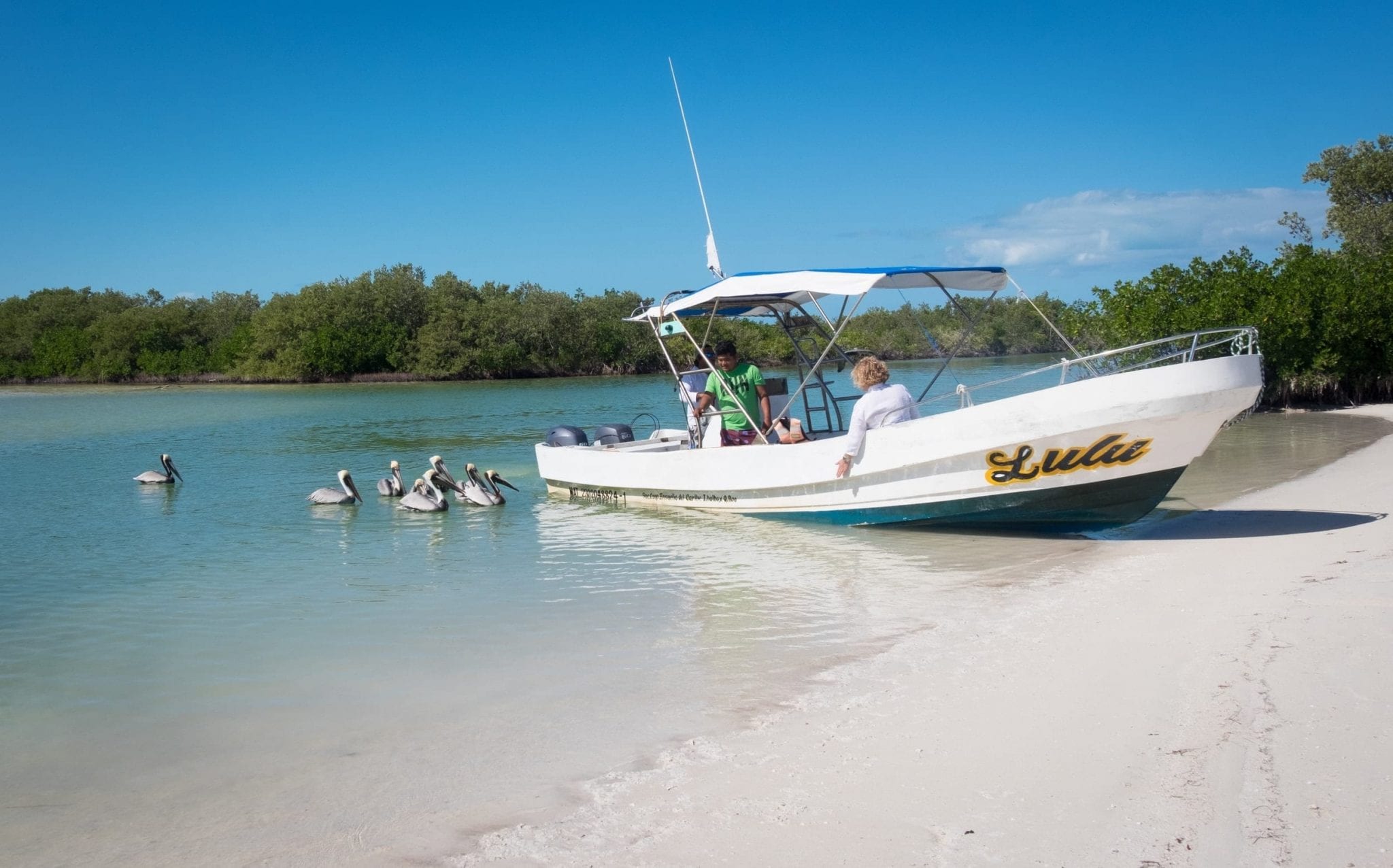 Two people on a boat with pelicans in the water nearby.