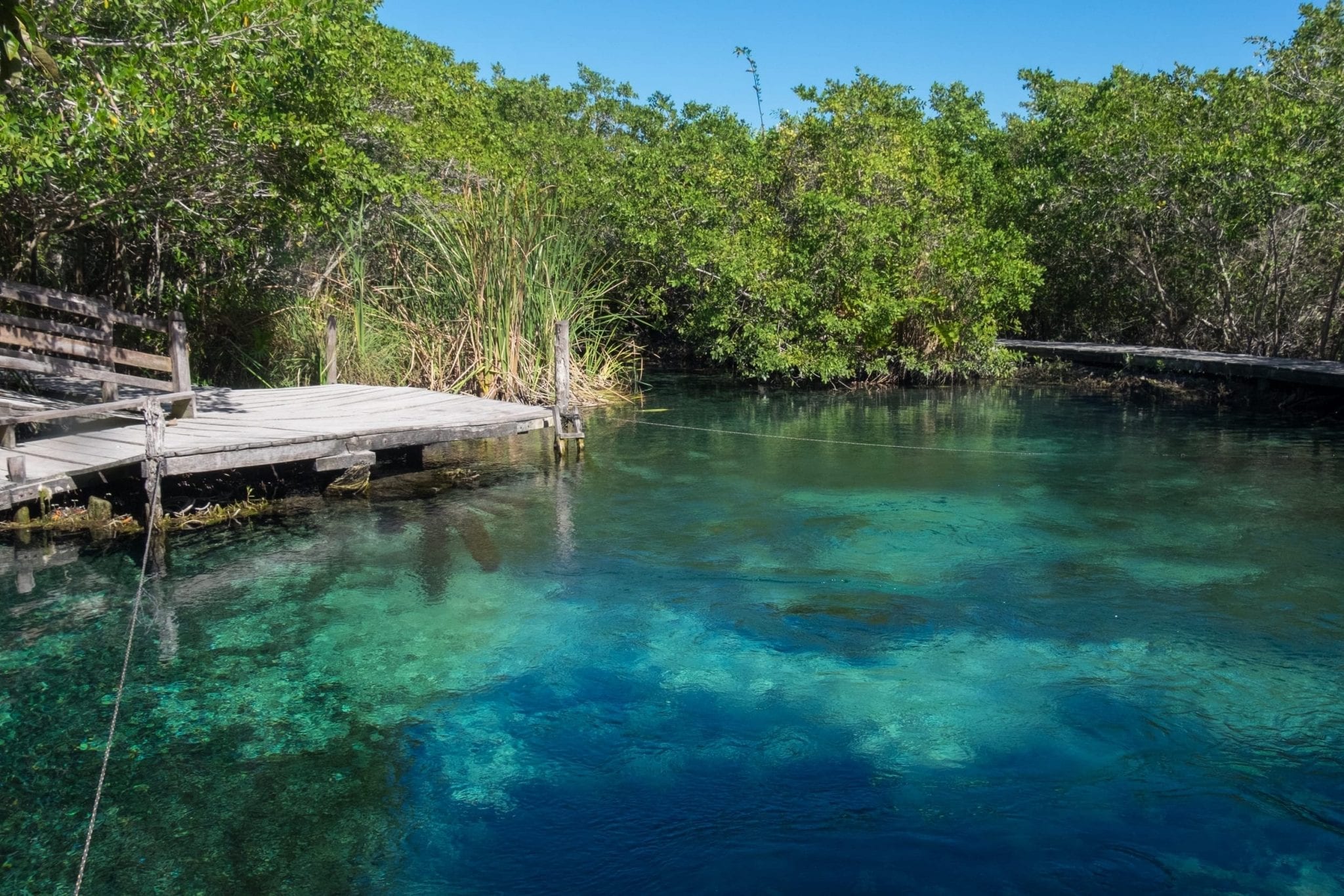 Wooden dock next to cenote with clear water in multiple shades of turquoise.