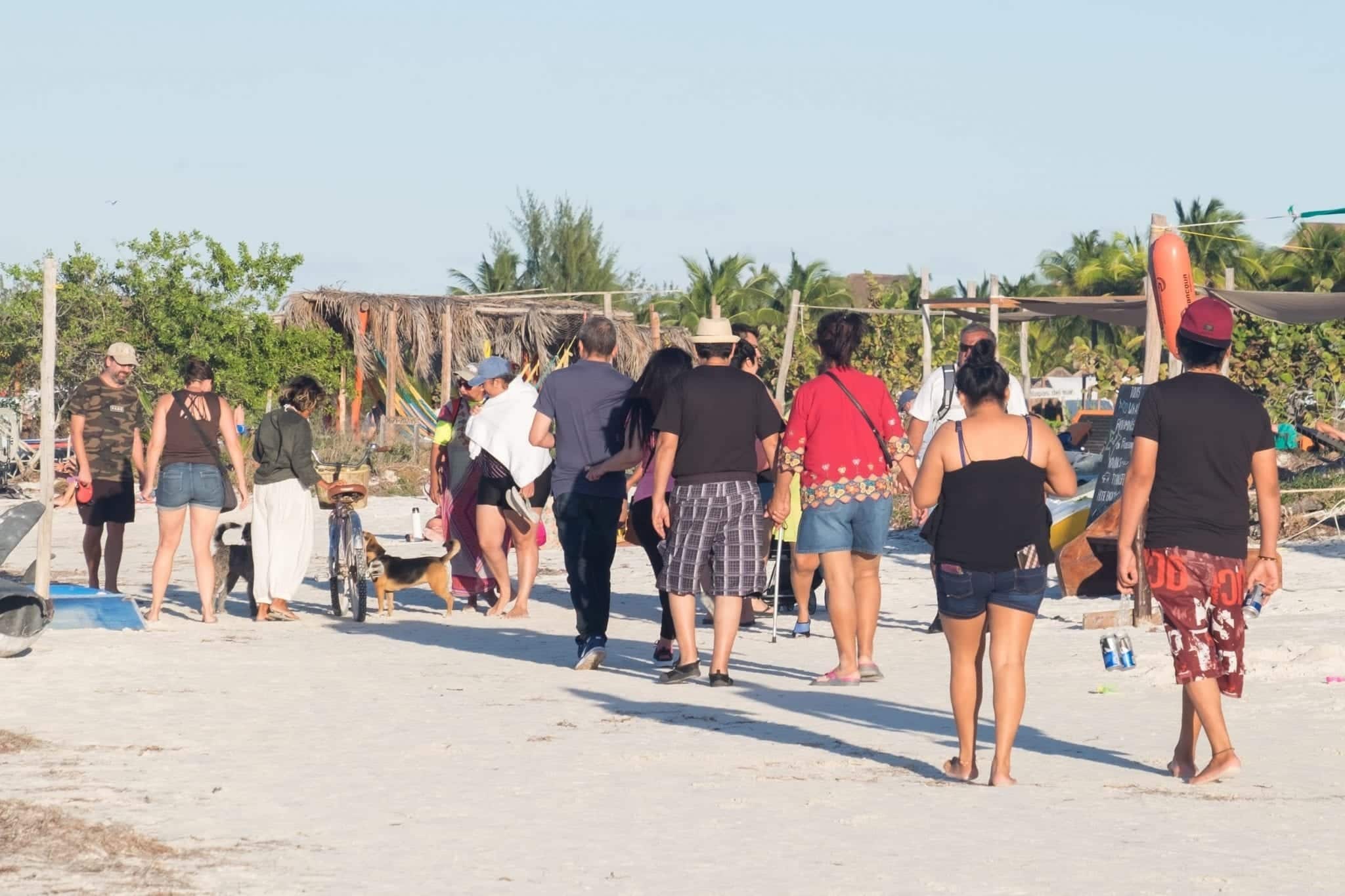 People walking along the beach.