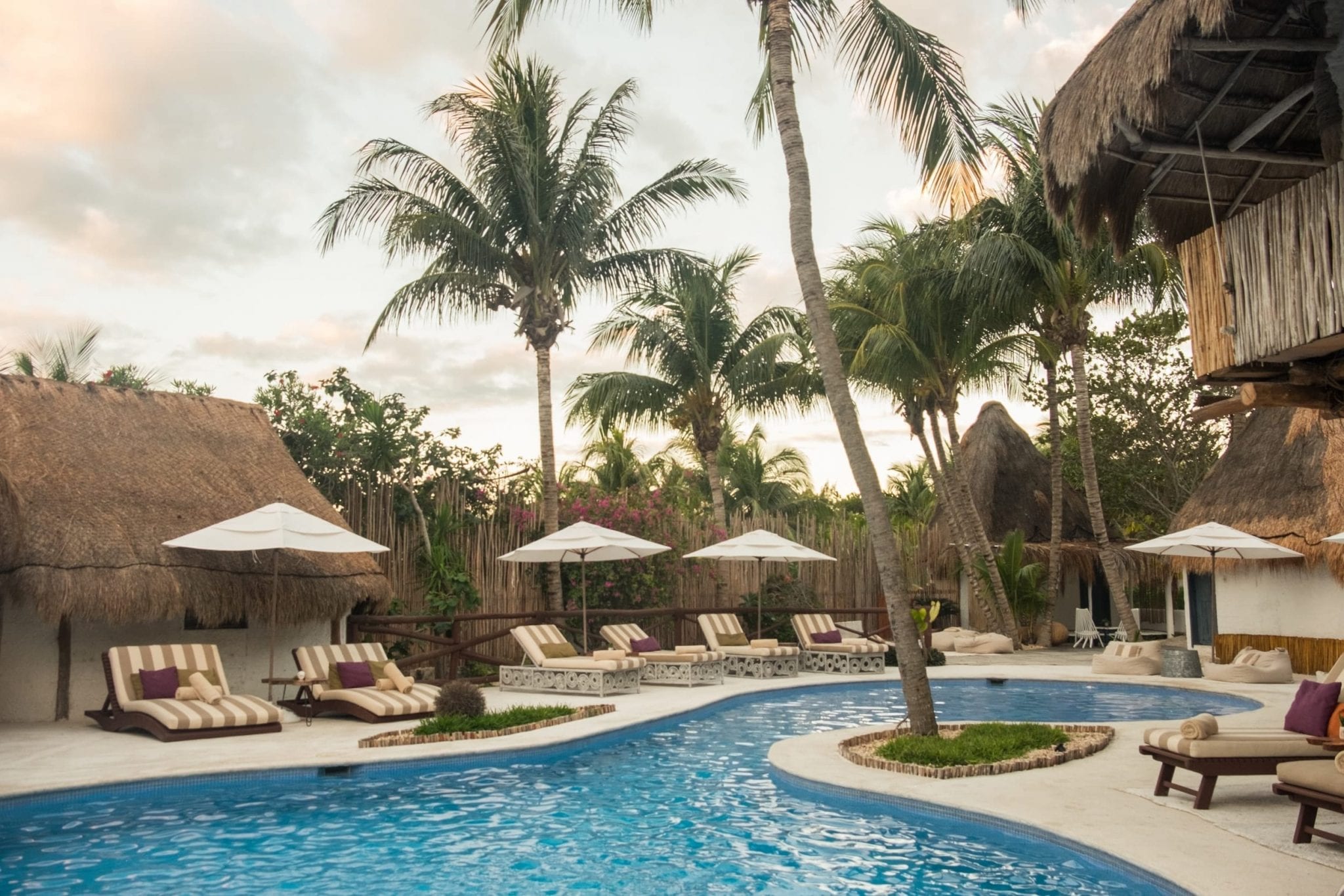 Pool surrounded by lounge chairs and palm trees.