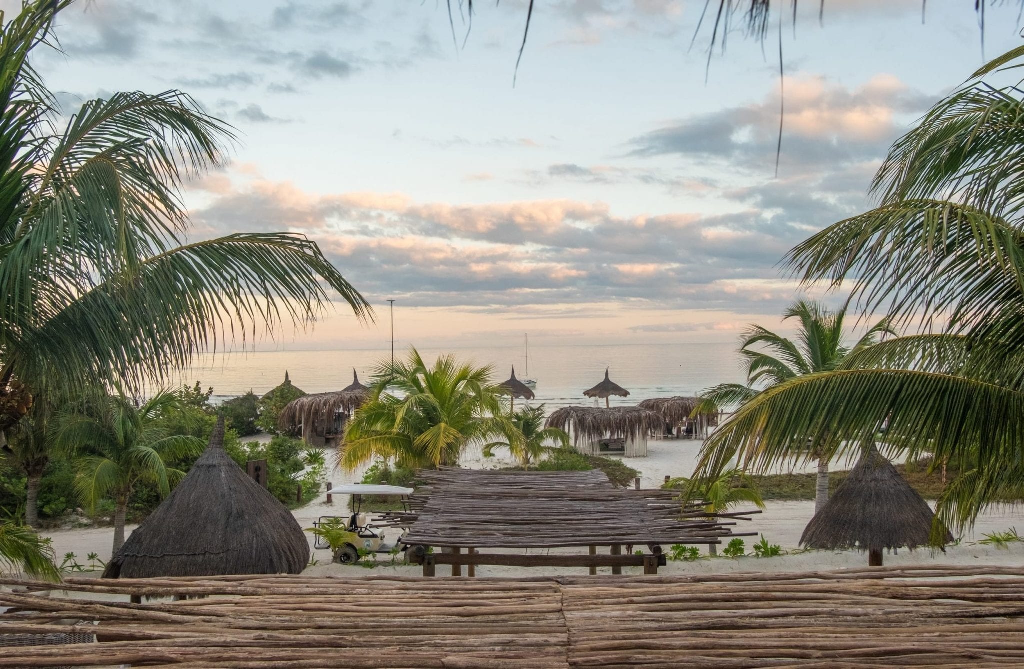 View of beach and palm trees.