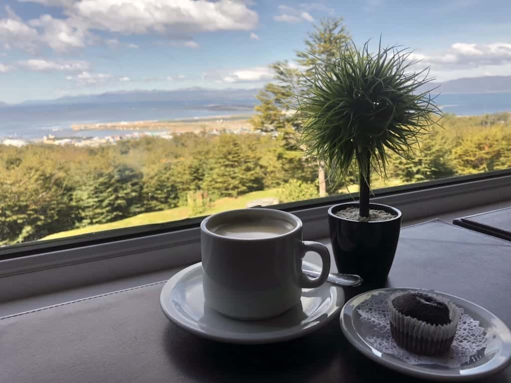 A cup of coffee and a tiny spiny potted plant overlooking the Beagle Channel and mountains way in the distance.