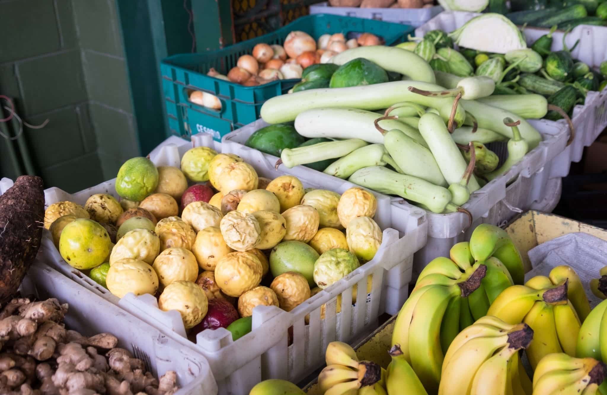 Fruits and vegetables piled up in purple crates in Antigua. Bananas, ginger, onions, and some unrecognizable green and yellow vegetables.