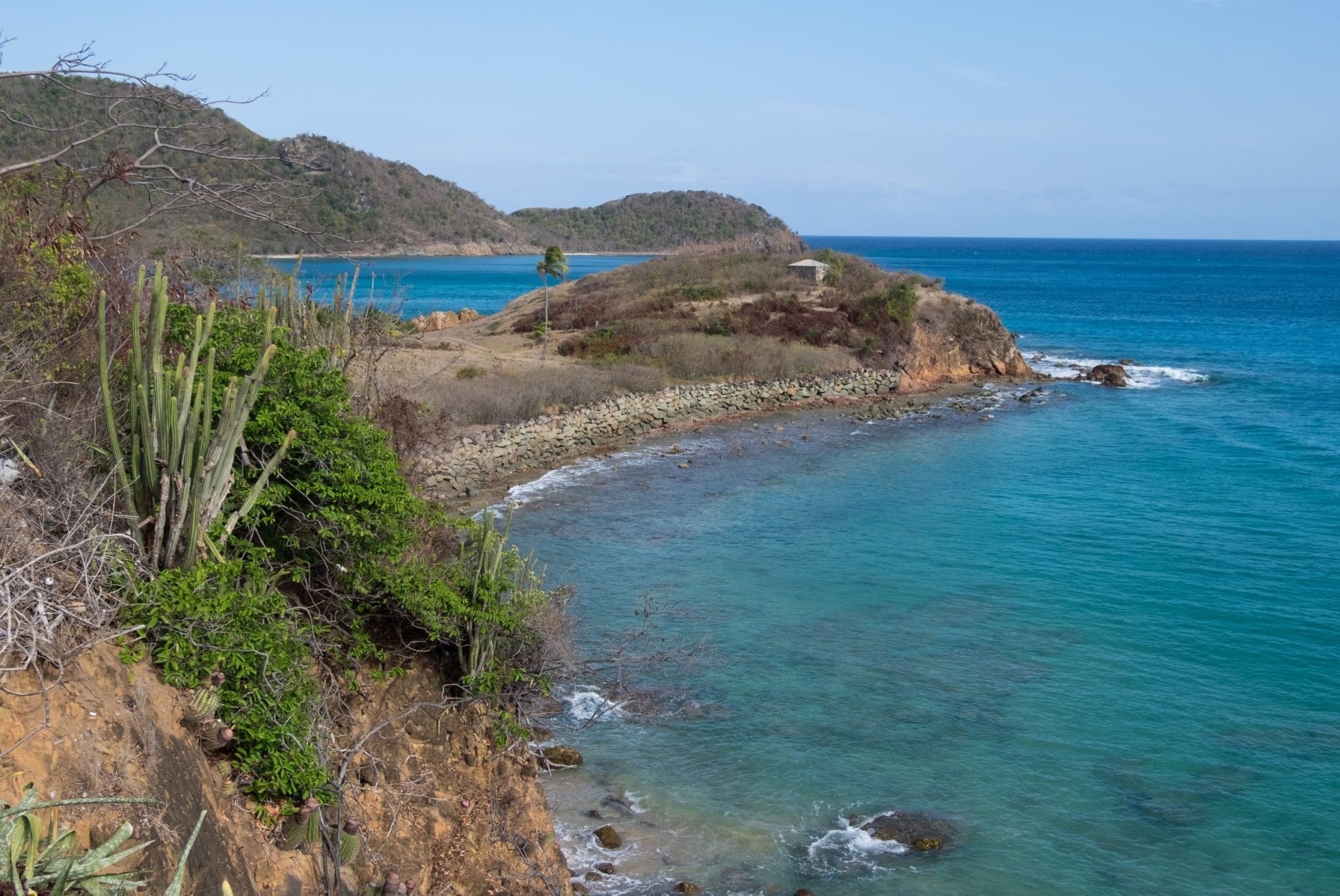 View from a cliff in Antigua: a peninsula rises out into the bright teal sea on the right, while a grove of cacti grows on the left.
