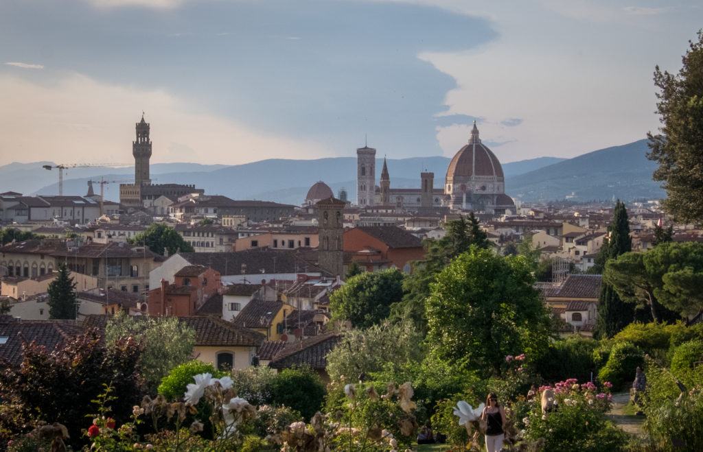 At dusk, Florence's Duomo and Palazzo Vecchio rise underneath a deepening blue sky and darker blue cloud. In the foreground are rose bushes from the rose garden.