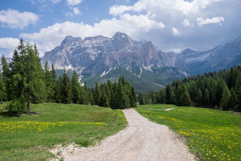 A worn path leads through the grass in the Dolomites. Ion the background are pine trees, huge blue and gray mountains, and a blue sky with puffy white clouds above all.