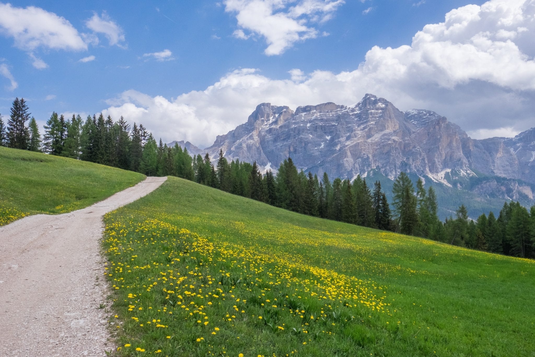 A view of a path on the left leading through green grass and yellow dandelions to the purple Dolomites set against a blue and white sky.