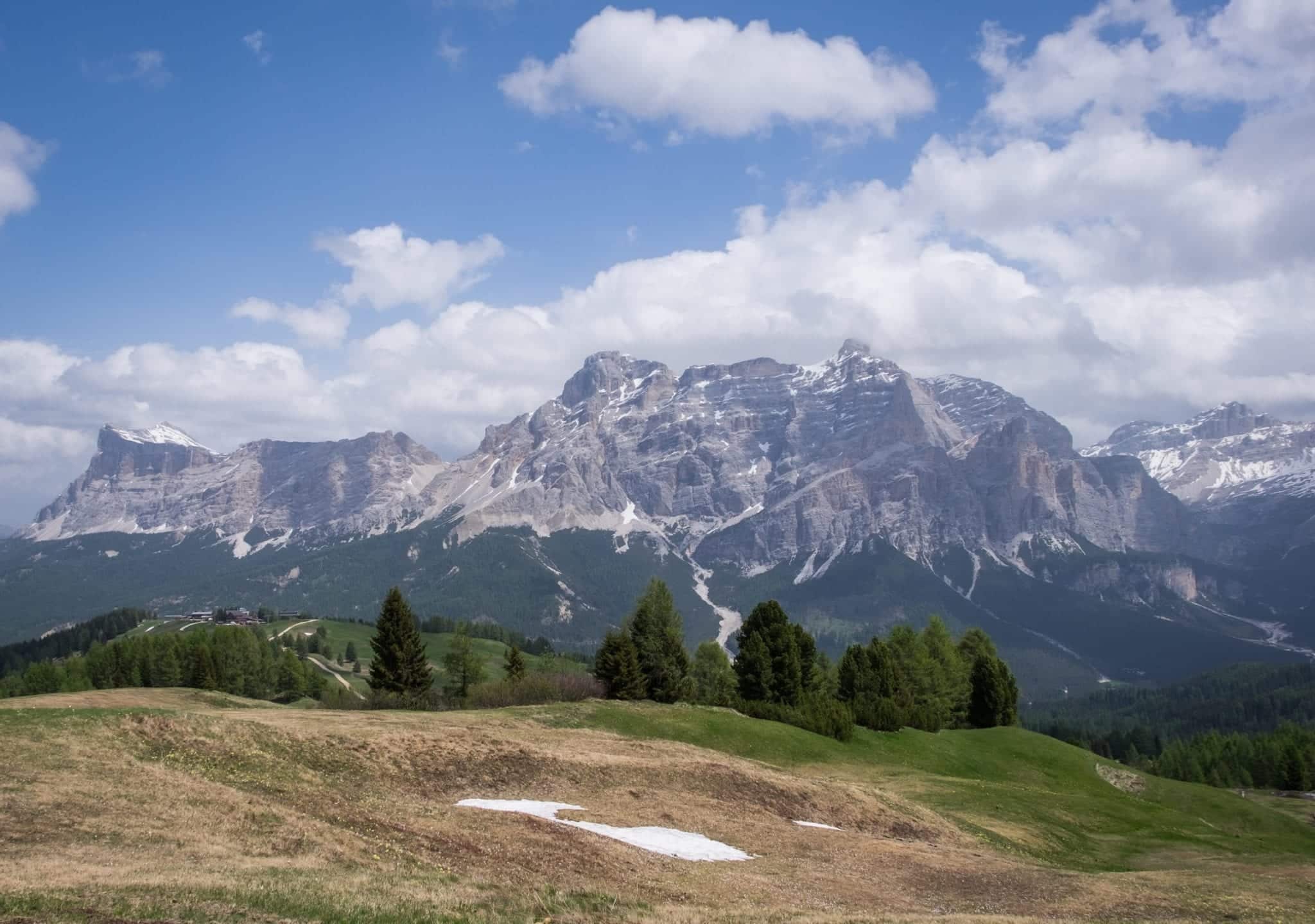 The purple Dolomites in the distances underneath a blue sky with white clouds. In the foreground, green hills and evergreen trees.
