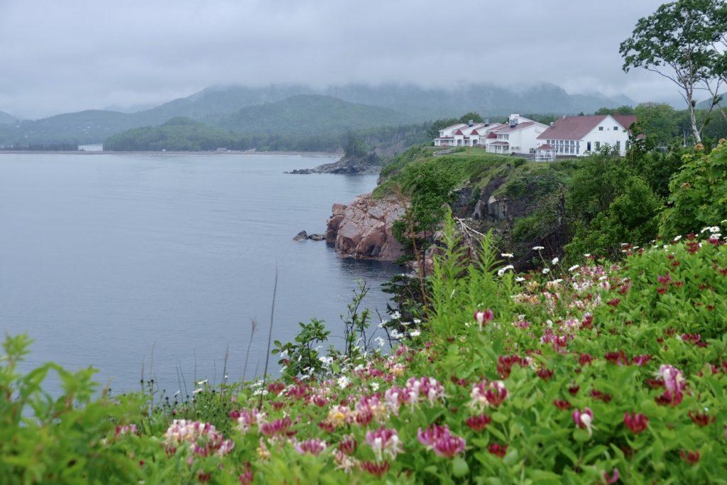 White cottages sit atop a gray cliff; in the foreground are flowers. A gray day in Nova Scotia.