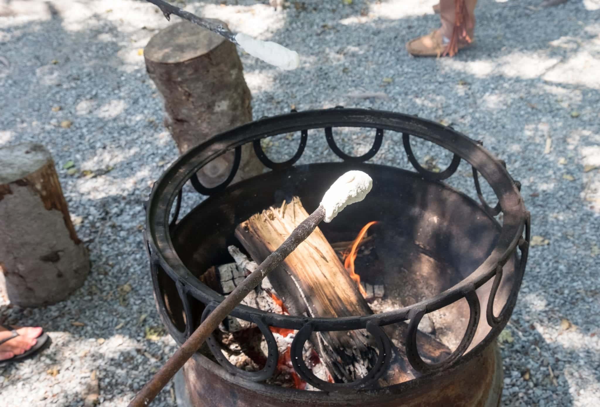 Bread dough wrapped around an iron poker and cooked over a fire.