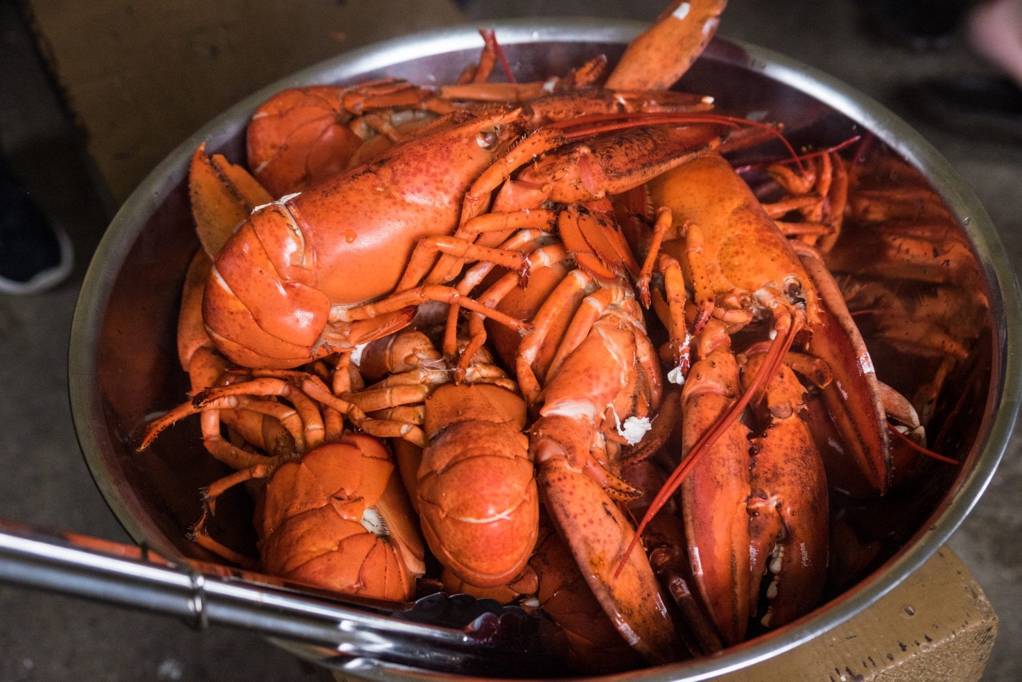 A pot full of bright red lobsters.