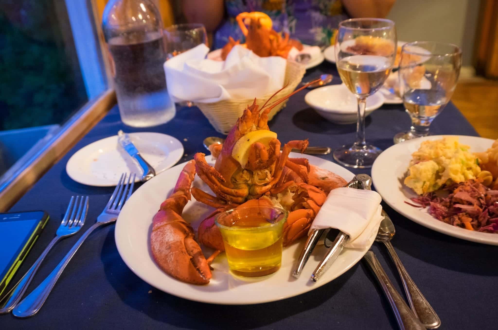 A lobster placed on a plate head up, looking like he's going to eat YOU.