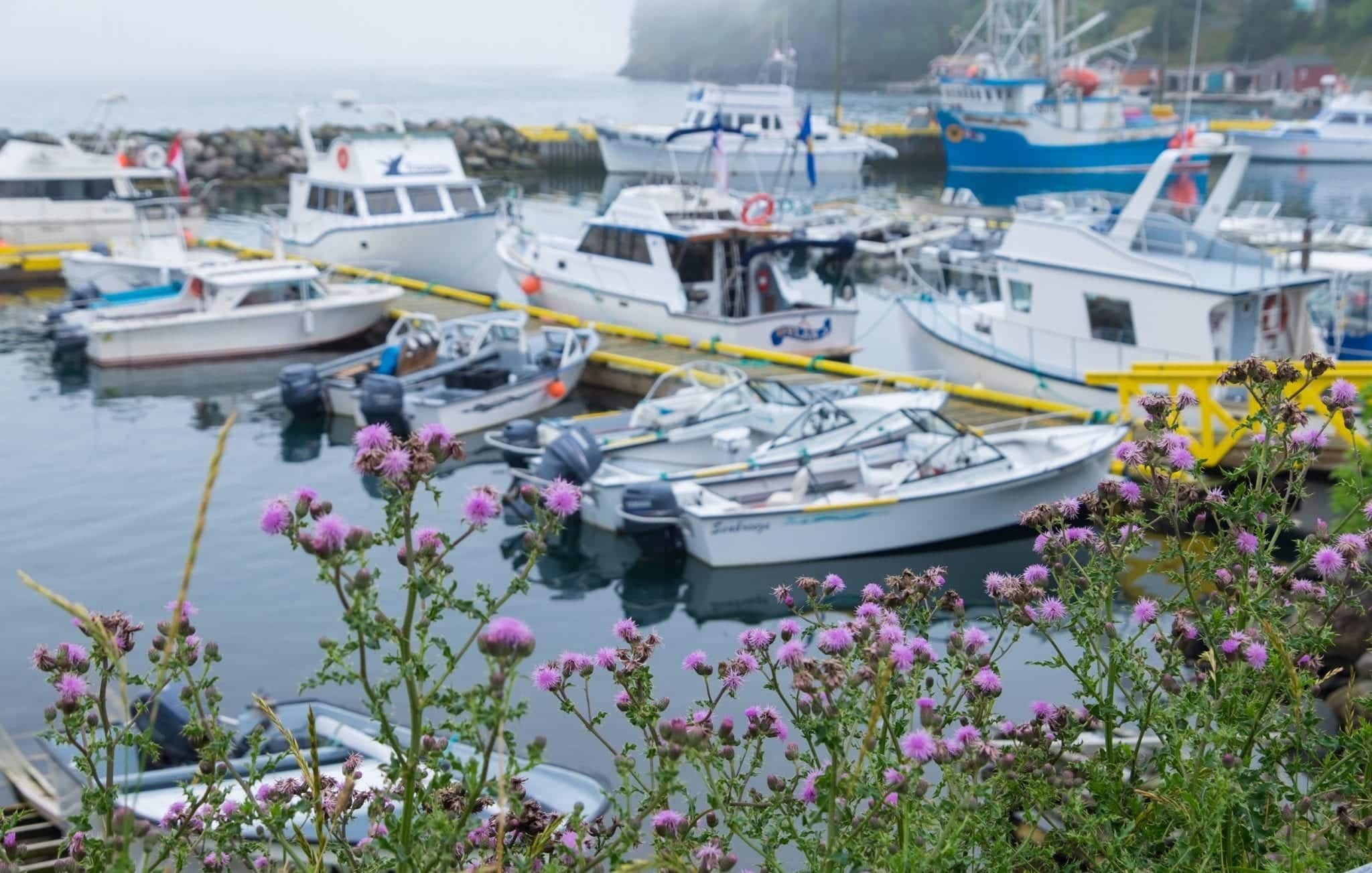 In he foreground, purple flowers on green stems; in the background fishing boats on a gray foggy harbor.