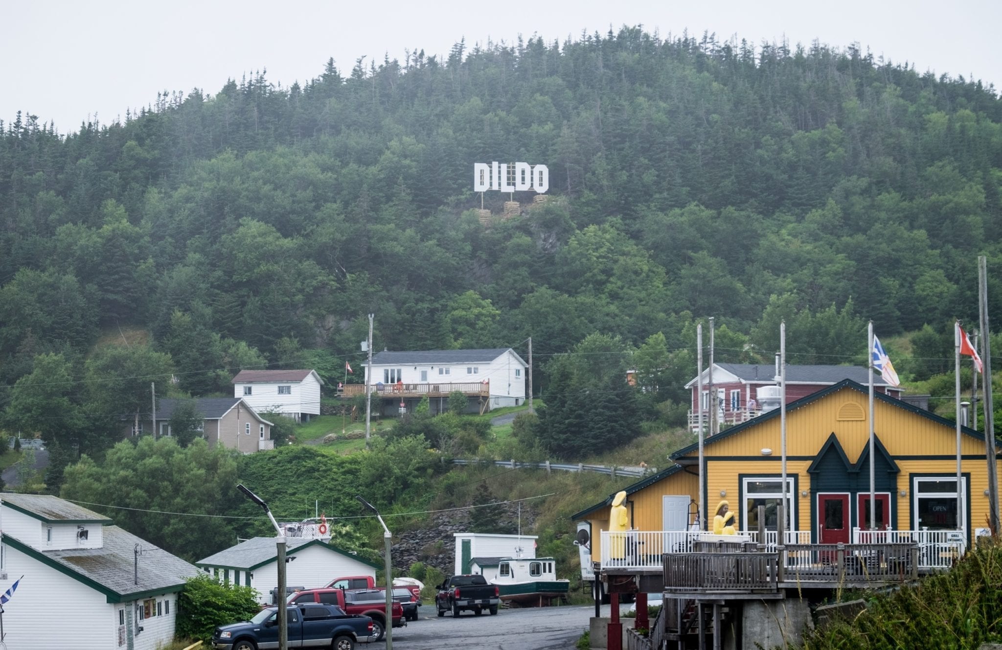A Hollywood-style sign reading "Dildo" in the hills above the fishing village of Dildo, Newfoundland.