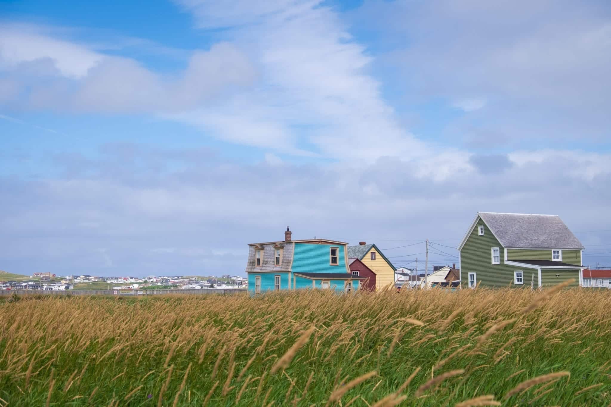Two houses, one turquoise and one pea green, on a grassy landscape in Bonavista, Newfoundland.