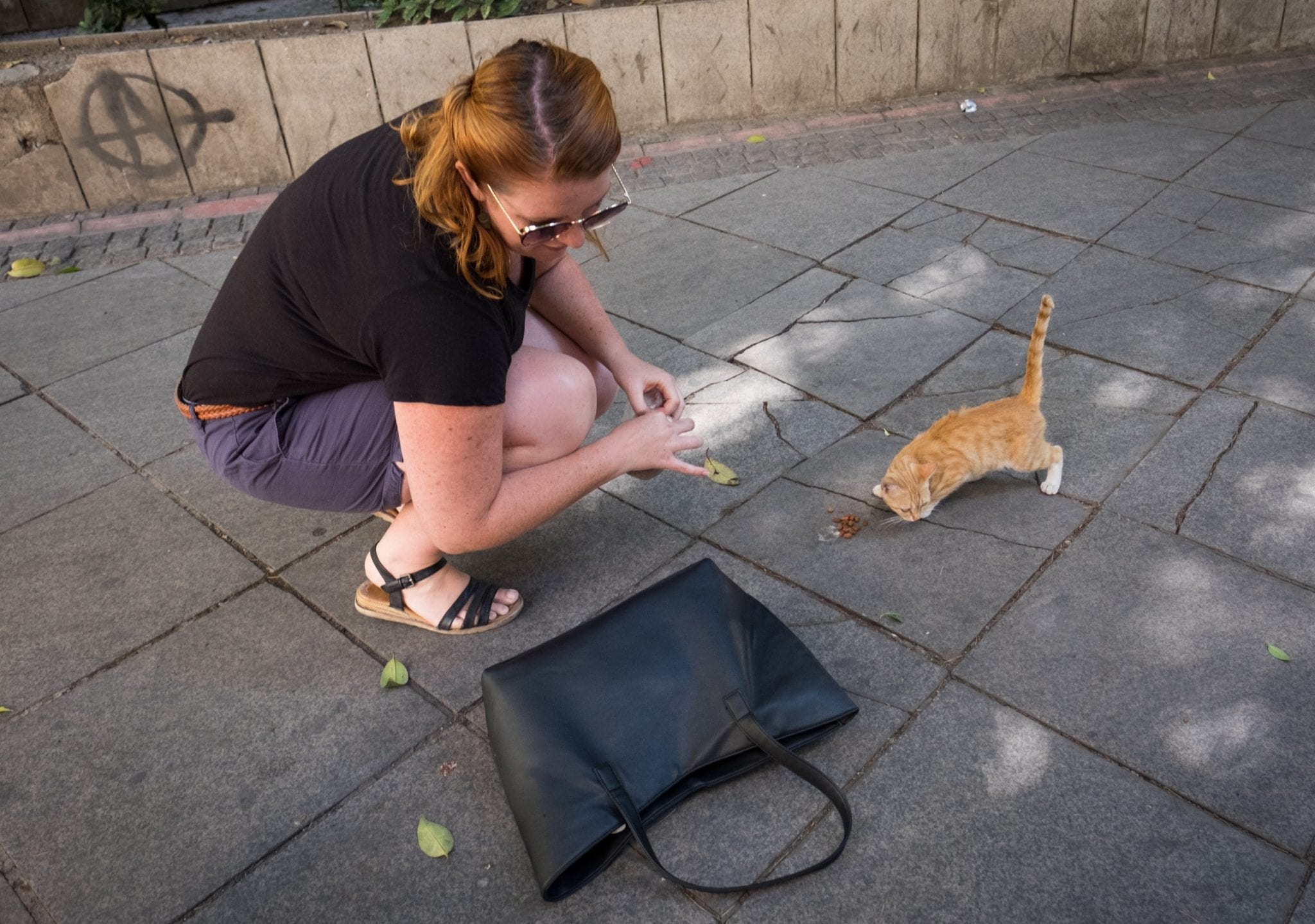 Meg from Food Fun Travel kneels down next to a tiny orange kitten, feeding him from the cat food she keeps in her purse.