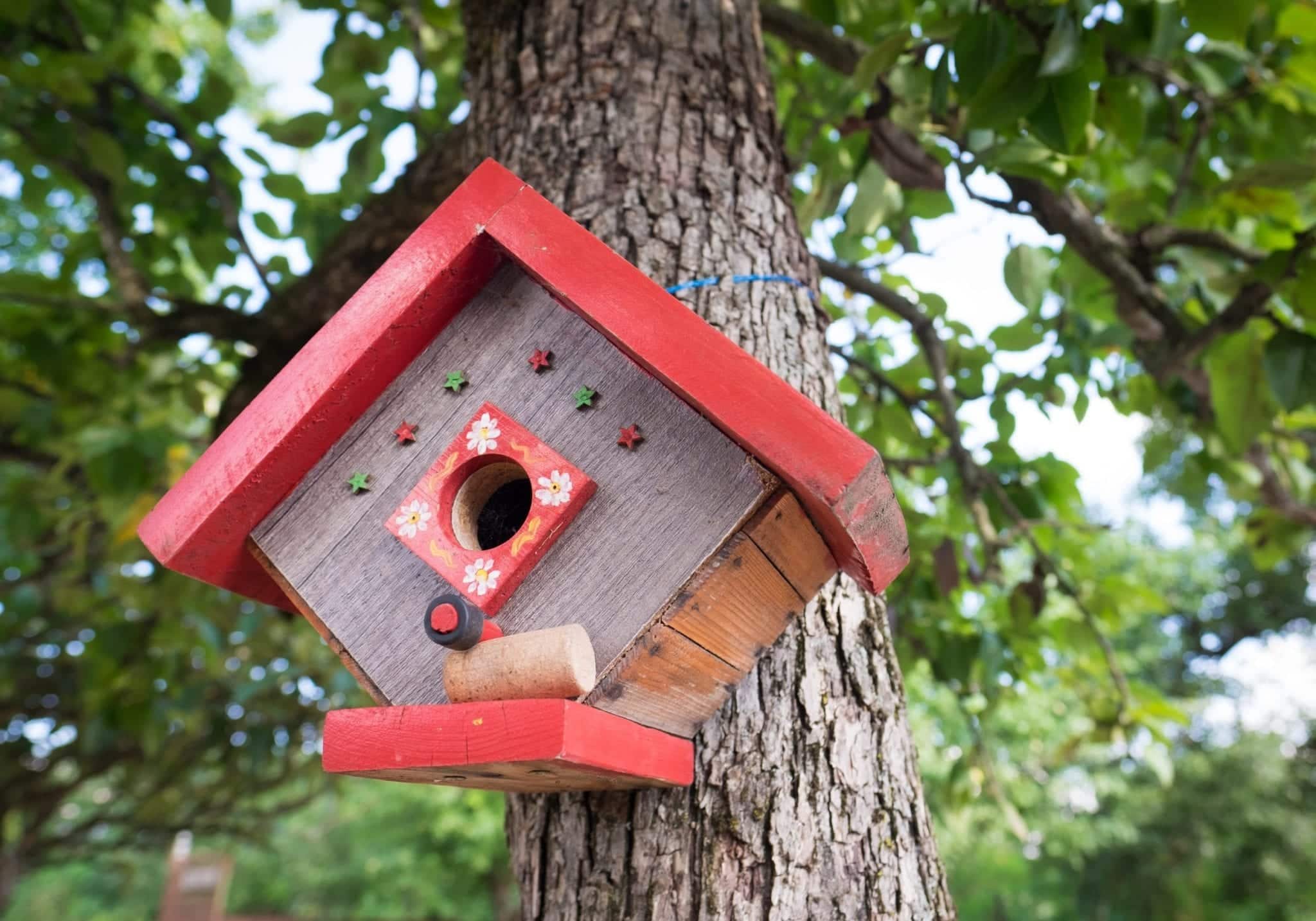 A small wooden birdhouse with bright red trim hammered to a tree in Georgia.
